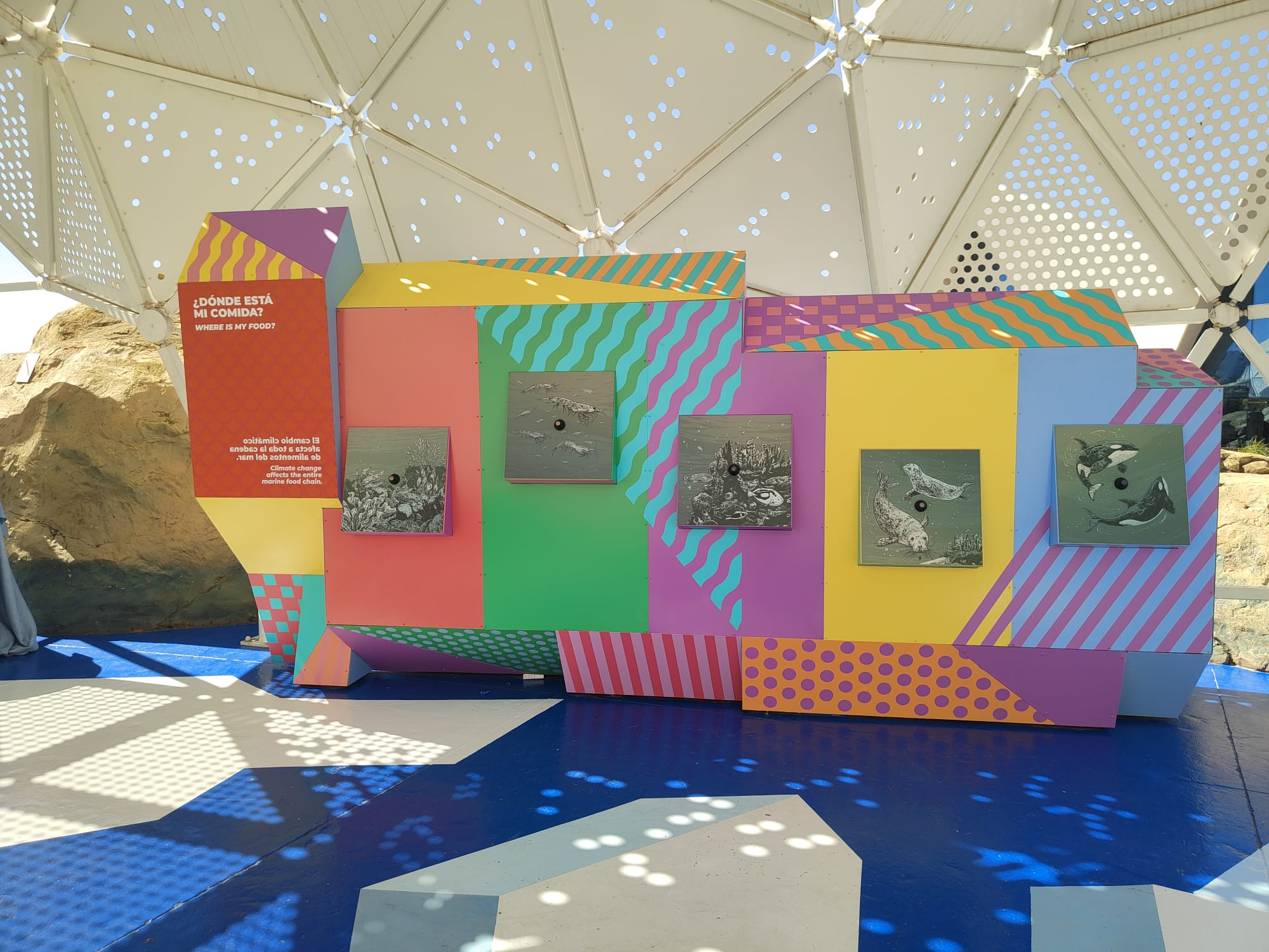 Vista frontal del módulo de la galería interactiva del Oceanogràfic con las ilustraciones de Vicente Perpiñá integradas en la instalación