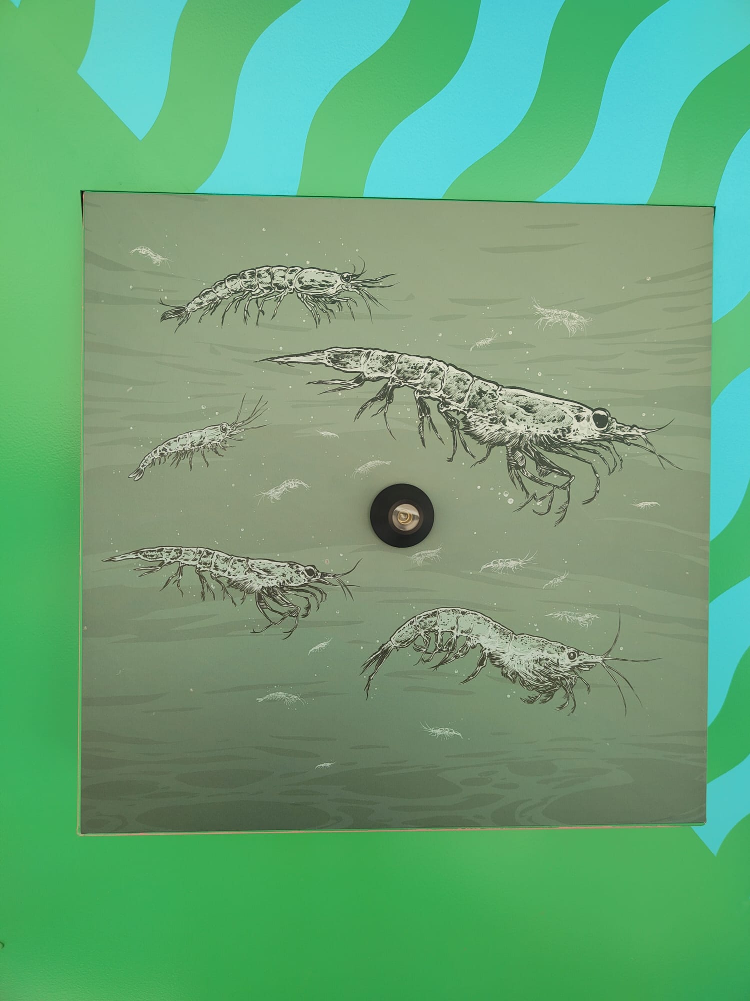Detalle de una ilustración digital de Vicente Perpiñá integrada en el módulo, con krill y otros crustáceos