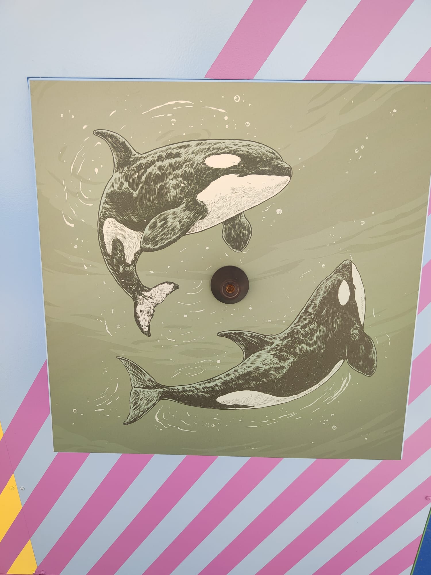 Detalle de la ilustración digital de orcas de Vicente Perpiñá integrada en el módulo