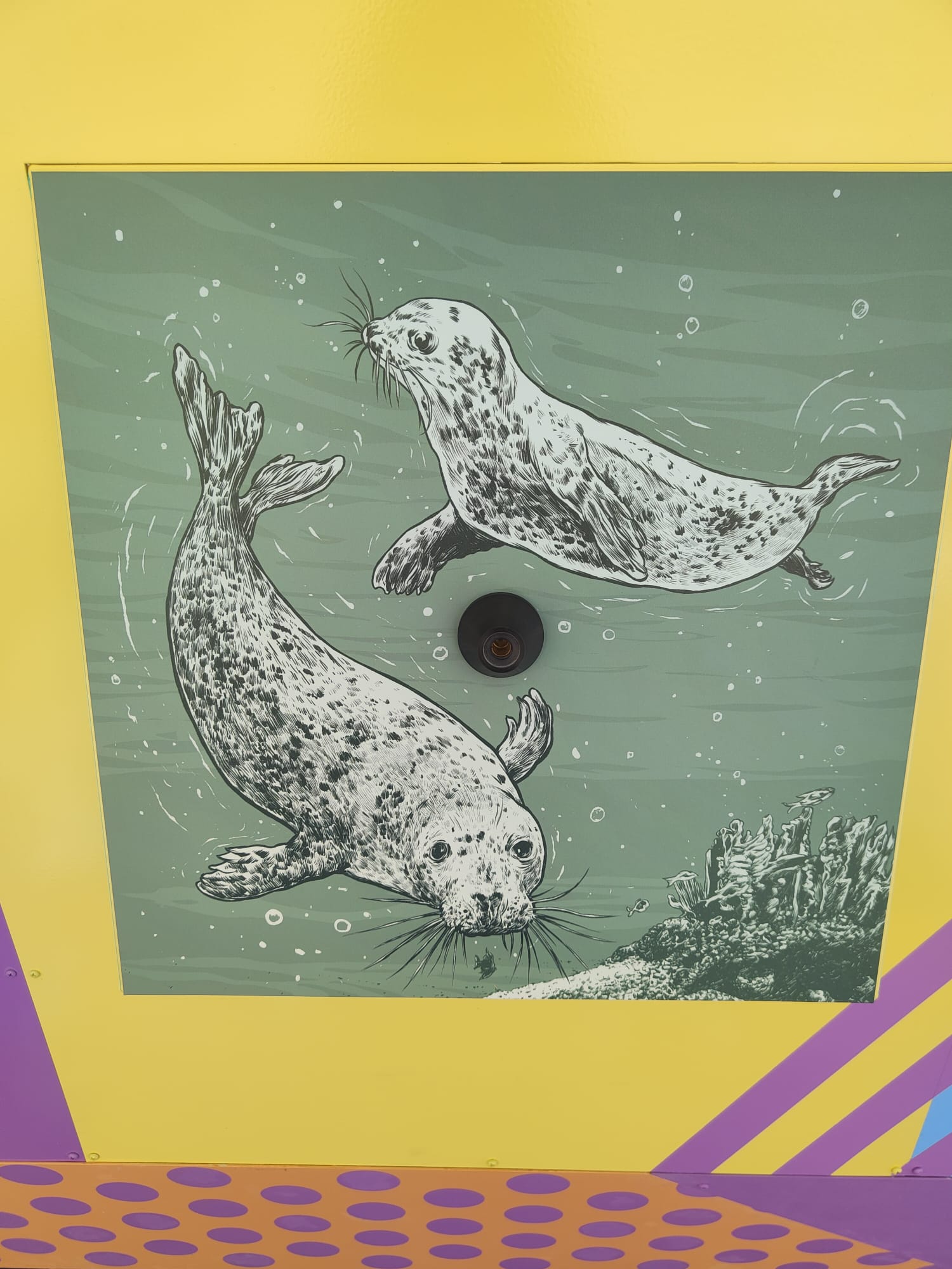 Detalle de la ilustración digital de focas de Vicente Perpiñá integrada en el módulo