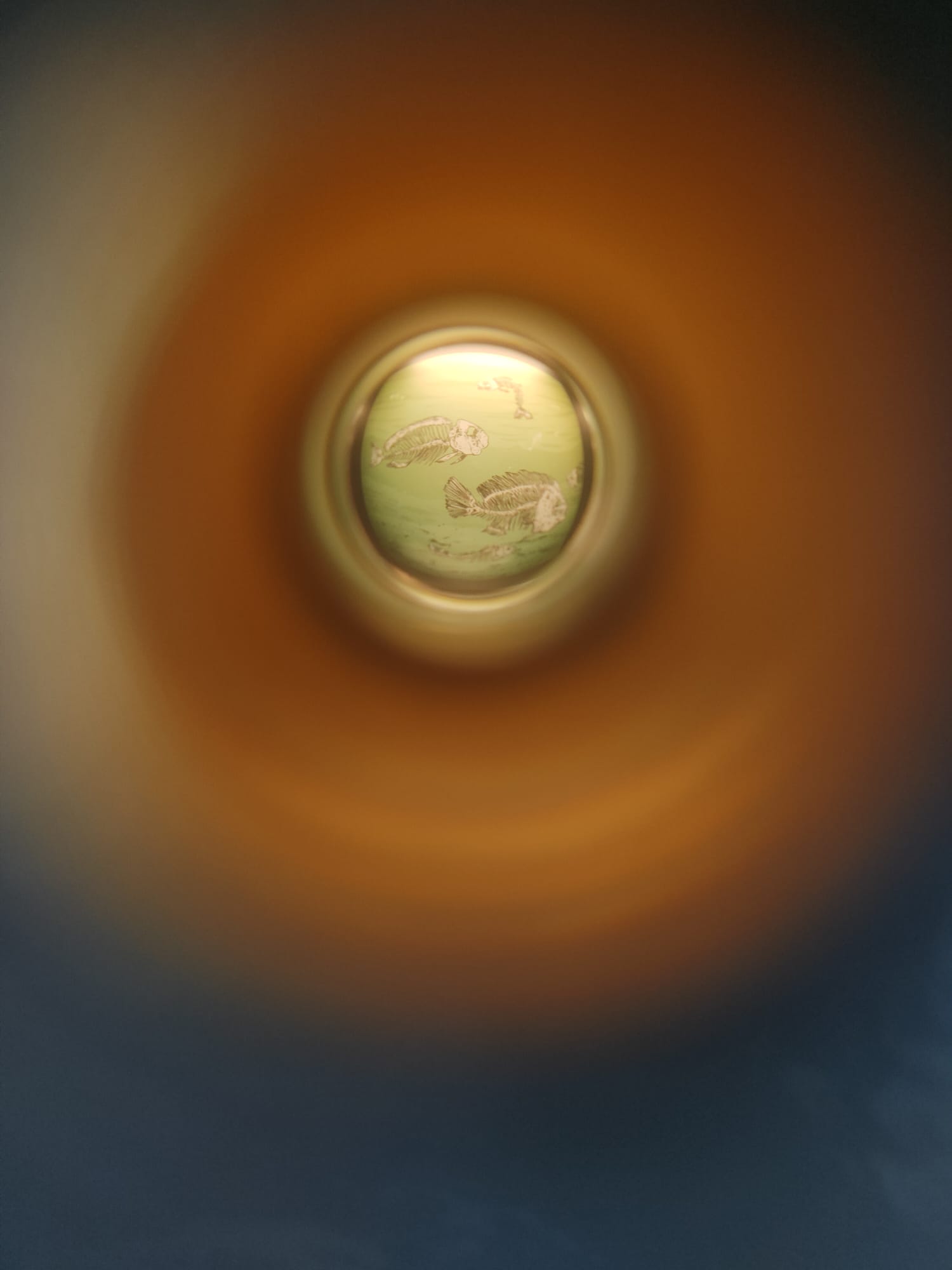 Vista de una escena de peces a través de una de las mirillas del módulo interactivo del Oceanogràfic